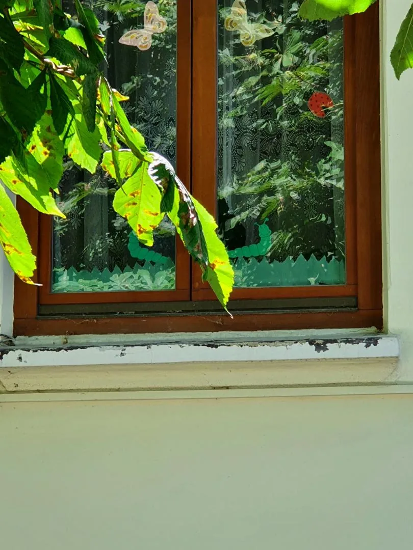 Kezdetek