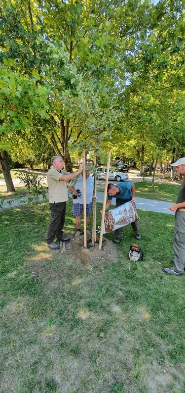 Parkosítás Ácsteszéren