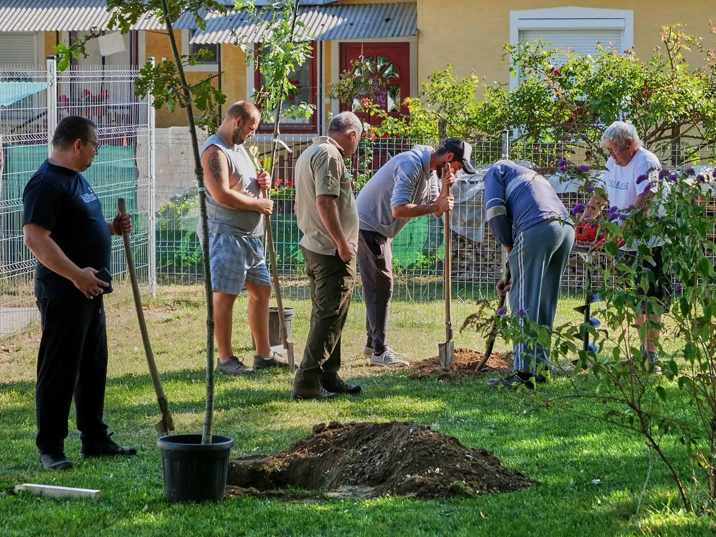 Parkosítás Ácsteszéren