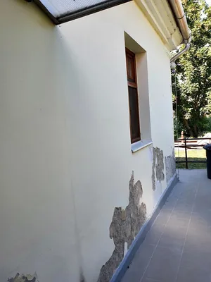 Kezdetek