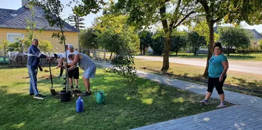 Parkosítás Ácsteszéren