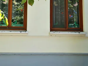 Kezdetek