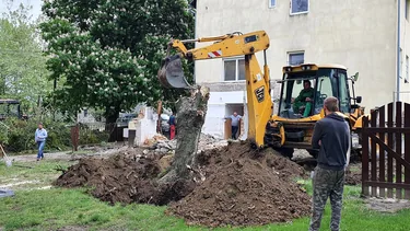 Bölcsöde kezdeti készültségi szint