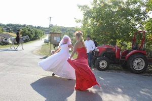Fotók: