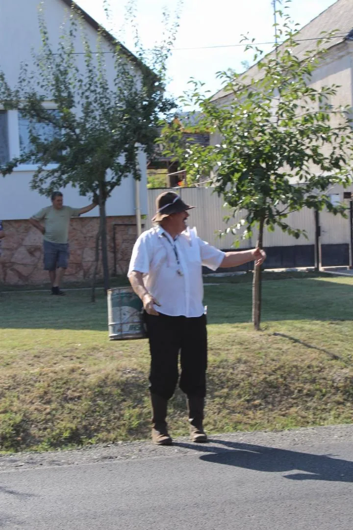 Szüreti felvonulás és utcabál
