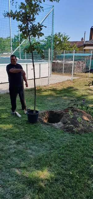 Fotók: