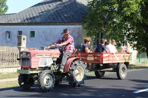 Fotók: