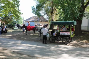 Fotók: