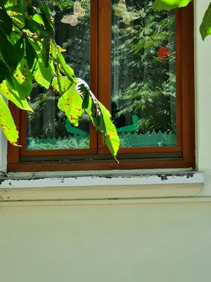 Kezdetek
