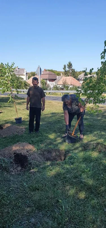 Parkosítás Ácsteszéren