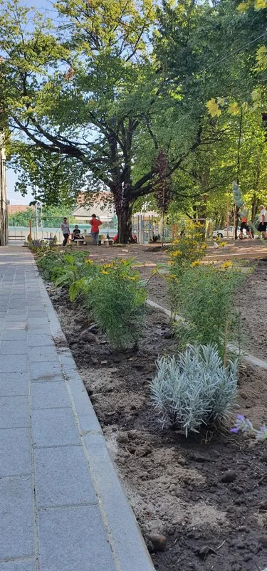 Parkosítás Ácsteszéren