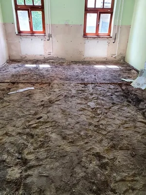 Kezdetek