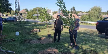 Parkosítás Ácsteszéren