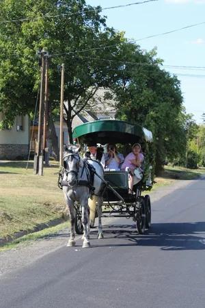 Fotók: