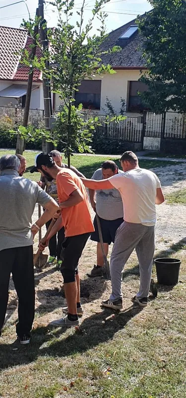 Parkosítás Ácsteszéren