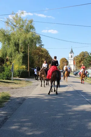 Fotók: