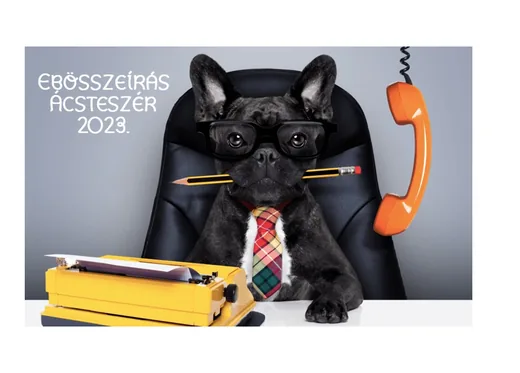 'Tájékoztató ebösszeírásról' cikk borítóképe