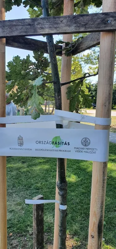 Parkosítás Ácsteszéren